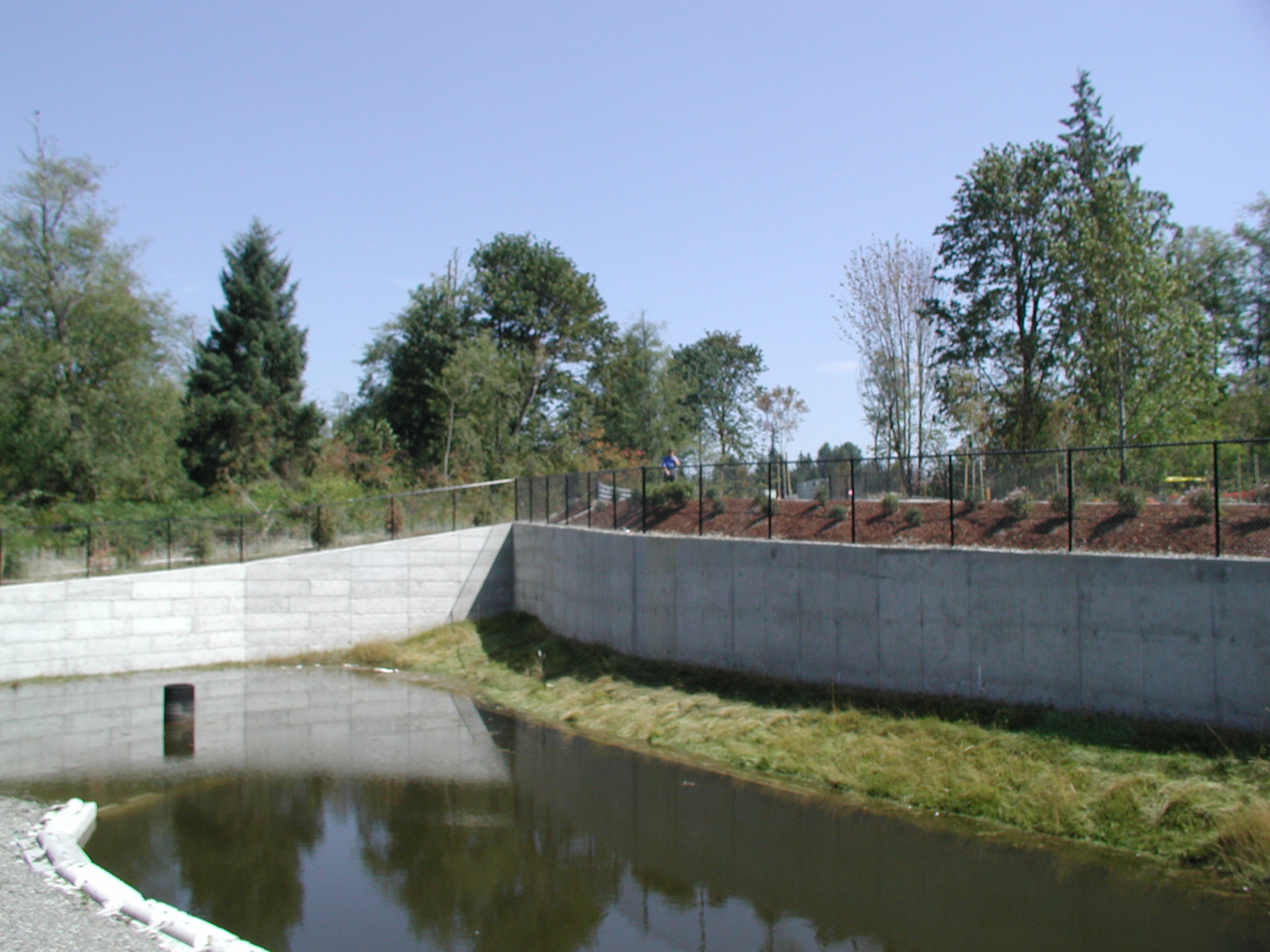 Concrete pond retaining wall construction